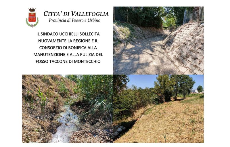 CITTÀ DI VALLEFOGLIA: IL Sindaco Ucchielli sollecita ...