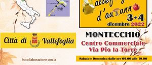 MOSTRA 1 MOSTRA 1