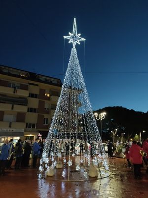 FOTO ALBERO