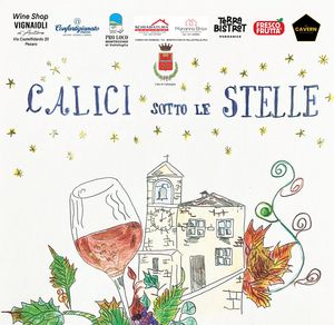 LOCANDINA CALICI 2026 BOZZA