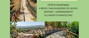 Prima pag 16 agosto 2022 sentiero camminamento Monte di Montecchio jpg