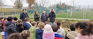 foto 1 16 dicembre 2025 albero