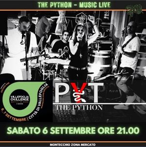 Gruppo concerto Vallefoglia Challenge