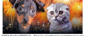 Ordinanza fuochi d artificio cani e gatti 1