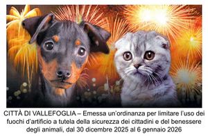 Ordinanza fuochi d artificio cani e gatti 1