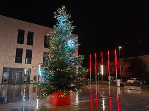 foto 3 22 novembre 2025