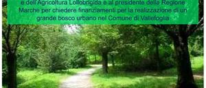 Prima pag 29 dic 2025 pdf 01