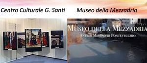 Musei copertina