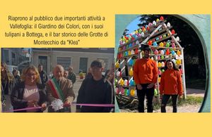 Immagine 7 4 2026 01
