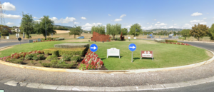 Immagine 2025 05 14 084906