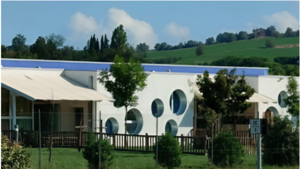 nido 28 maggio 2025