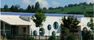 nido 28 maggio 2025