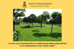 Prima pag 18 luglio 2024 bosco urbano pdf 01