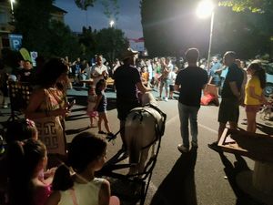 FOTO 2 22 LUGLIO 2025