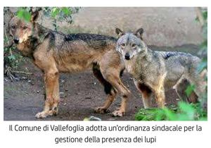 Prima pag 9 gennaio 2026 ordinanza lupi pdf 01