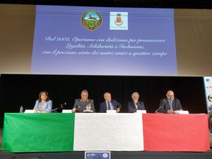 foto 3 30 maggio 2025