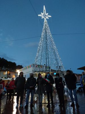 FOTO ALBERO CON AMMINISTRATORI