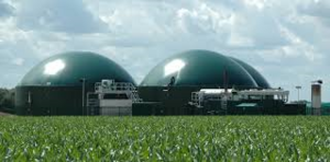 Biogas