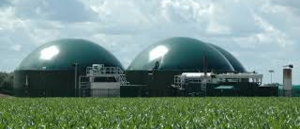 Biogas