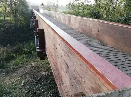 Immagine 2026 03 13 124842